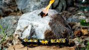 Black Beards Fire Rope