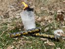 Black Beards Fire Rope